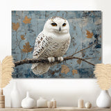 White Snowy Owl Accented With Gold - Owl Wall Art Prints