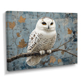White Snowy Owl Accented With Gold - Owl Wall Art Prints