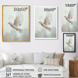 Columbidae Dove In The Urban Sky - Dove Home Decor Art