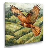 Eagle Hawk Over The Pasture - Bird Wall Art Prints