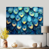 Peacock Feather Collage - Bird Framed Canvas Art