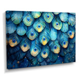 Peacock Feather Collage - Bird Framed Canvas Art