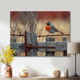 Robin Bird On The Farm Gate - Bird Framed Canvas Art