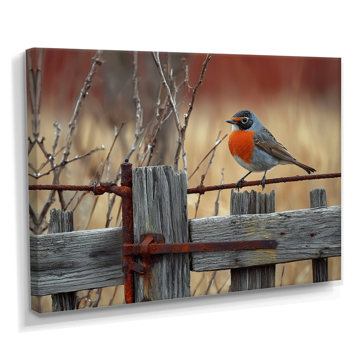 Robin Bird On The Farm Gate - Bird Framed Canvas Art