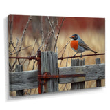 Robin Bird On The Farm Gate - Bird Framed Canvas Art