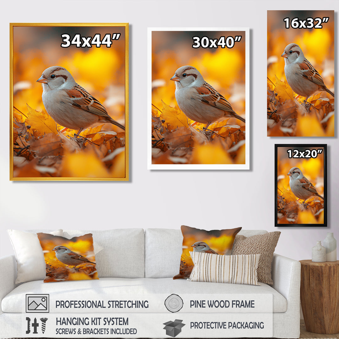Sparrow Bird In The Autumn Leaves - Bird Canvas Wall Art