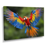 Vibrant Macaw Flying Photo - Bird Large Canvas Wall Art