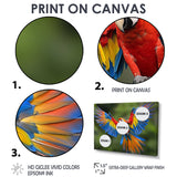 Vibrant Macaw Flying Photo - Bird Large Canvas Wall Art