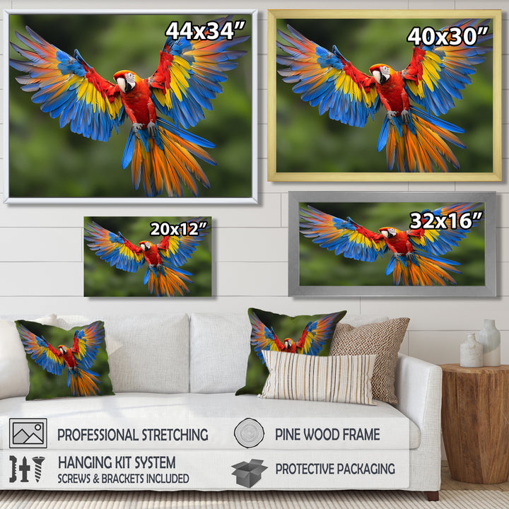 Vibrant Macaw Flying Photo - Bird Large Canvas Wall Art