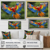 Vibrant Macaw Flying Photo - Bird Large Canvas Wall Art
