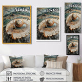 Snail At The Mountain On Slide - Brown Snail Wall Art