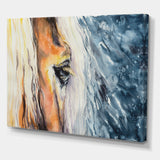 Close up of a Beautiful Horses Eye II - Painting on Canvas