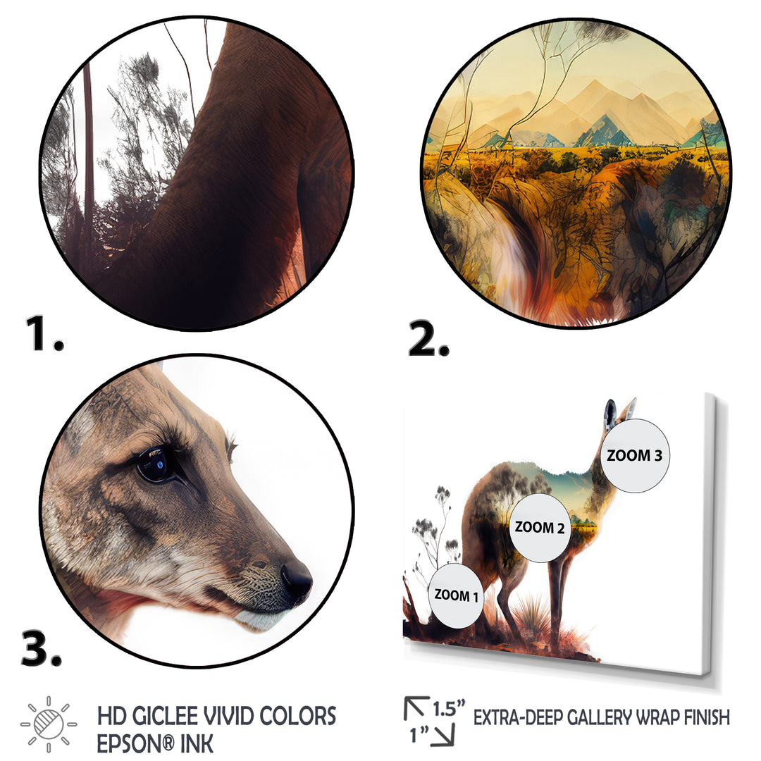 Double Exposure Of A Kangaroo With Australian Landscape - Kangaroo Wall Decor