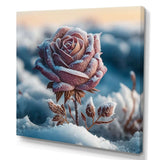 A Blooming Pink Rose Flower In Winter I Canvas Canvas
