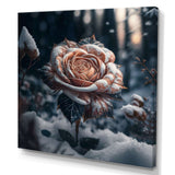 A Blooming Rose Flower In A Forest II Canvas Canvas