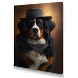 Mafia Bernese Mountain Dog - Dog Wall Art Prints