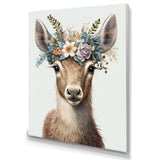 Cute Baby Goat With Floral Crown - Goat Canvas Wall Art