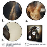 Dog Portrait - Brown Dog Wall Art