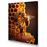 Honey Bees In Nest - Bee Canvas Wall Art