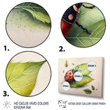 Ladybug On A Leaf - Ladybug Home Decor Art