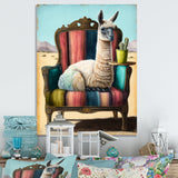 Llama Sitting On Lounge Chair In The Dessert - Llama Framed Canvas Art