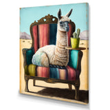 Llama Sitting On Lounge Chair In The Dessert - Llama Framed Canvas Art