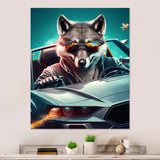 Grey Wolf Wearing Sunglasses in Sportscar - Wolf Wall Decor