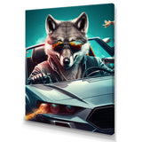 Grey Wolf Wearing Sunglasses in Sportscar - Wolf Wall Decor