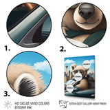 Grey Koala Wearing Sunglasses In Sportscar - Gray Koala Wall Art