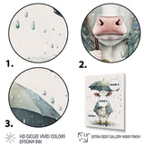 Cute Cow With Umbrella Rainy Day - Cow Wall Decor