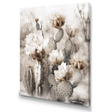 Cream Desert Cactus - Floral Canvas Wall Art