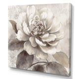 Grey Peonies On Branch II - Floral Canvas Wall Art