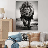 Black And White Lion Running In Africa - Animals Canvas Wall Art