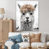 Curious Alpaca - Beige Alpaca Wall Art
