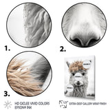 Curious Alpaca - Beige Alpaca Wall Art