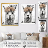 Curious Alpaca - Beige Alpaca Wall Art