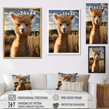 Alpaca Vibrant Portrait II - Animals Canvas Wall Art