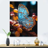 Turquoise Yellow Animal Butterfly - Butterfly Wall Art Prints