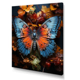 Orange Turquoise Animal Butterfly - Orange Butterfly Wall Art