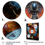 Orange Turquoise Animal Butterfly - Orange Butterfly Wall Art