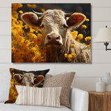 Cow Fields Of Gold - Cow Wall Decor