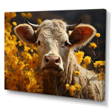 Cow Fields Of Gold - Cow Wall Decor