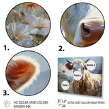 Cow Pastoral Beauty - Cow Canvas Wall Art