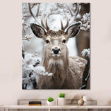 Animal Winter Deer - Animals Canvas Wall Art