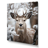 Animal Winter Deer - Animals Canvas Wall Art