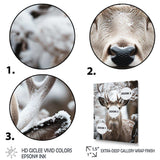 Animal Winter Deer - Animals Canvas Wall Art