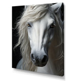 White Horse Serenity - Horse Canvas Wall Art