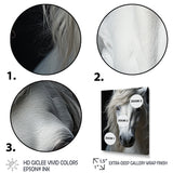 White Horse Serenity - Horse Canvas Wall Art