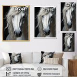 White Horse Serenity - Horse Canvas Wall Art