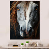 Grey Brown Horse Serenity - Horse Canvas Wall Art